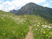 27 In prossimità del passo, il Monte Venturosa